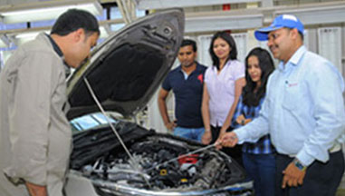 Session to make you know and love cars