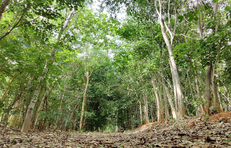 Toyota Kirloskar Motor Celebrates ‘Environment Month’, Themed “Unite for Responsible Resource Consumption Towards Becoming Global No.1”