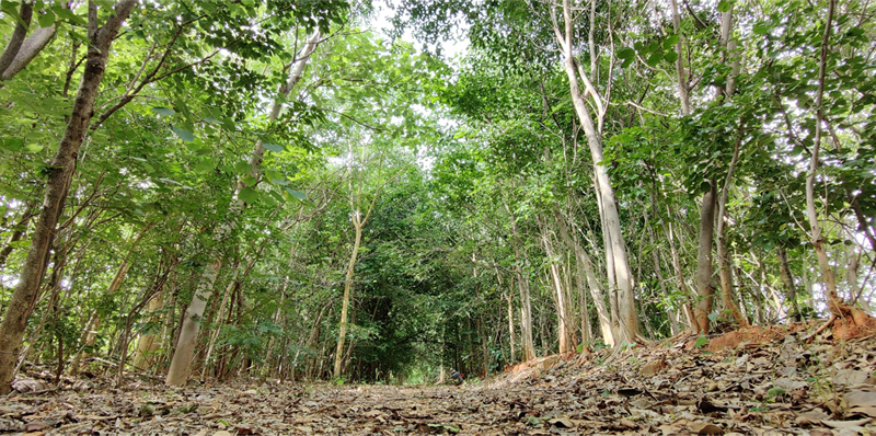 Toyota Kirloskar Motor Reaffirms its Commitment to Environmental Sustainability on ‘Earth Day’