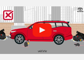  Protect your Car from rodents